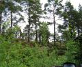 images/Schweden/Schweden 2012/IMG_0630.jpg